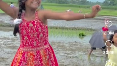 धान रोपाई कर रही नन्हीं बच्चियों ने खेत में किया धमाकेदार डांस, वीडियो देख यूजर्स का गदगद हुआ दिल 16 Screenshot 20260706 184434.Instagram28129