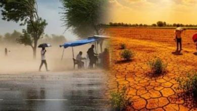 MP के 24 जिलों पर सूखे का खतरा, सरकार अलर्ट, उज्जैन संभाग सबसे ज्यादा प्रभावित होने की आशंका 7 Screenshot 20260705 175745.Chrome28129